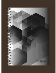 Patria PD Colorido A4, 200 foi, caiet cu spirală divizată (P1112-0533)