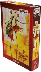 Nova Puzzle Puzzle Nova puzzle din 1000 piese - Dansatoare de balerini (41047) Puzzle