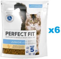 Perfect Fit Junior - fera - 13 851 Ft