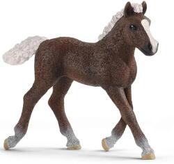 Schleich Schleich: Figurina mânz din Pădurea Neagră (13899) (SLH13899) Figurina