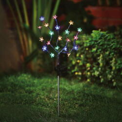 Garden of Eden 11274