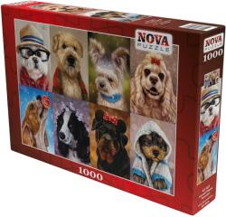 Nova Puzzle Puzzle Nova puzzle din 1000 piese - Cățeluși drăguți (41107) Puzzle