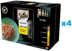 Sheba Delicacy Baromfi ízek tasakok 48x85 g teljes értékű nedves eledel felnőtt macskáknak zselésített darabokban: kacsa, csirke, baromfi, pulyka