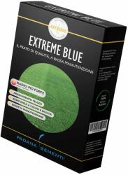 Padana Sementi Seminte Gazon Padana EXTREME BLUE - 1 kg (PR-103806)