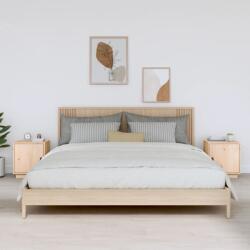 vidaXL 2 db tömör fenyőfa éjjeliszekrény 40 x 34 x 45 cm (818276) - vidaxl