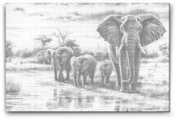  PontPöttyöző - Szavanna - Vándorlás az elefántokkal Méret: 40x60cm, Keretezés: Műanyagtáblával, Szín: Fekete