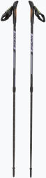 FIZAN Bețe de nordic walking Fizan Speed violet