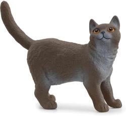 Schleich Schleich: Brit rövidszőrű macska figura (13973) (SLH13973) - innotechshop
