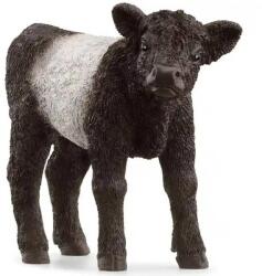 Schleich Schleich: Galloway borjú figura (13969) (SLH13969) - innotechshop