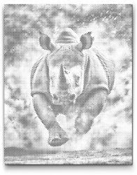  PontPöttyöző - Vad orrszarvú Méret: 30x40cm, Keretezés: Keret nélkül (csak a vászon), Szín: Kék