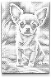  PontPöttyöző - Csivava Méret: 40x60cm, Keretezés: Műanyagtáblával, Szín: Fekete