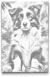  PontPöttyöző - Border collie kölyökkutya Méret: 40x60cm, Keretezés: Keret nélkül (csak a vászon), Szín: Kék