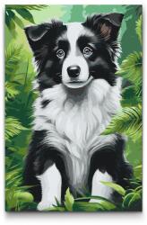  Festés számok szerint - Border collie kölyökkutya Méret: 40x60cm, Keretezés: Keret nélkül (csak a vászon)