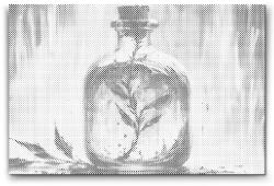  PontPöttyöző - Virág egy palackban Méret: 40x60cm, Keretezés: Kartonlemezen, Szín: Piros