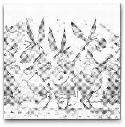  PontPöttyöző - Éneklő szamarak Méret: 50x50cm, Keretezés: Keret nélkül (csak a vászon), Szín: Piros