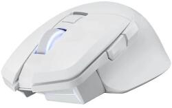 PowerColor Alphyn AM10 White Mouse
