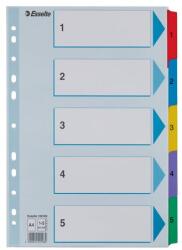 Esselte Index carton Esselte Mylar cu taste laminate A4 index 1-5 (ESS100160)