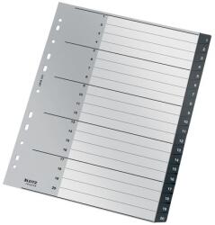Leitz Index Leitz Recycle PP reciclat A4 1-20 negru (ESS12110000)