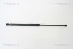 TRISCAN Amortizor portbagaj TRISCAN 8710 66202 (8710 66202) - automobilus