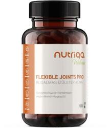  Nutriqa Flexible Joints Pro - Rugalmas Ízületek Kúra - 60db - egeszsegpatika