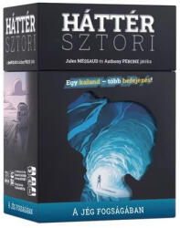 Háttérsztori - A jég fogságában társasjáték - tarsasjatekdiszkont