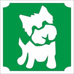 Mk Kreatív 5x5 cm-es Csillámtetoválás sablon- Yorkshire terrier kutya 412 (Mk5412)