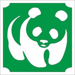 Mk Kreatív 5x5 cm-es Csillámtetoválás sablon - Panda 450 (Mk5450)