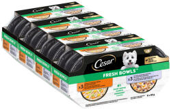 Cesar 48x85g Cesar Fresh Bowls csirke & kacsa szószban nedves kutyatáp