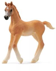 Schleich Horse Club: figurină mânz arab 13984 (SLH13984) Figurina