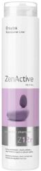 Erayba Sampon impotriva caderii parului Zen Active Z12r 250ml, Erayba - springfarma - 48,80 RON