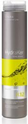Erayba Sampon profesional hidratant cu keratina K12, 250ml, Erayba