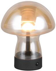 TRIO TR54981113 LED asztali lámpa DOOLEY | 1, 5W integrált LED forrás