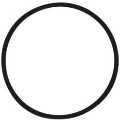 Grundfos Oring 65x3.00 FKM /spare (97904666)