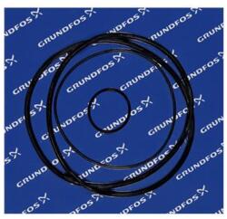 Grundfos Kit, Oring TPHP (96121673)