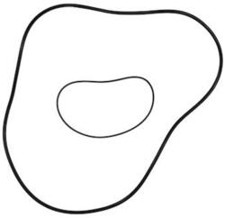 Grundfos Kit, Oring TPHP (96121687)