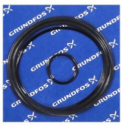 Grundfos Kit, Oring TPHP (96121678)
