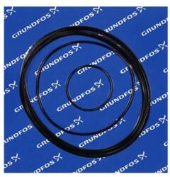 Grundfos Kit, Oring TPHP (96121683)