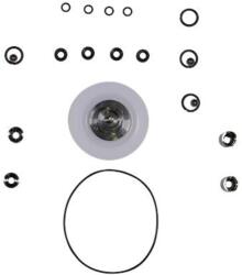Grundfos Kit, pump maint/DDI6010/SS/V/SS (96688932)