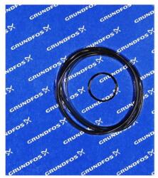 Grundfos Kit, Oring TPHP (96121674)