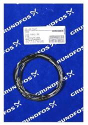 Grundfos Oring FKM 221.84x3.53/spare (97757698)