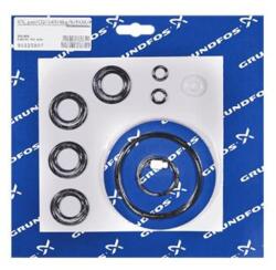 Grundfos Kit, gas/Cl2/545/4kg/h/FKM/PTFE (91835807)