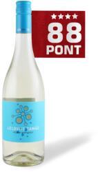 LELOVITS TAMÁS Gyöngybor 2024 - Lelovits - 88 pont **** (0, 75l)
