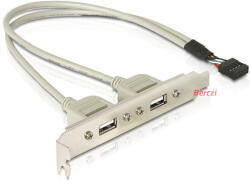 Delock Hátlapi kivezetés > 2x USB 2.0 Type-A (71000) - berczitech