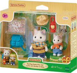 EPOCH Set figurine Sylvanian Families - Pisicutele Exploratoare (SF5763) Figurina