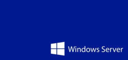 Microsoft Windows Server CAL 2025 ENG (EP2-25225)