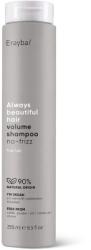 Erayba Sampon pentru volum ABH Volume No-Frizz, 250ml, Erayba