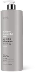 Erayba Sampon pentru volum ABH Volume No-Frizz, 1000ml, Erayba