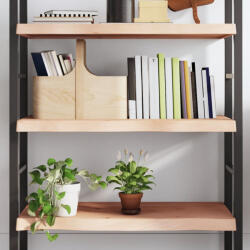 vidaXL kezeletlen tömör tölgyfa fali polc 100x50x(2-6) cm (VD363568)