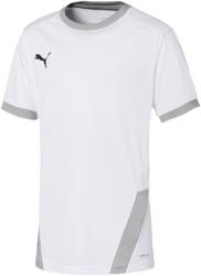 PUMA Póló Puma Teamgoal 23 Jersey Jr, Fehér, Gyerekek XS fehér|szürke