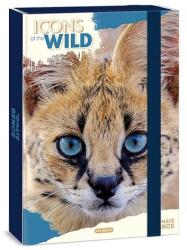 Ars Una Füzetbox ARS UNA A/4 Icons of the Wild-Serval (50855032) - fotoland